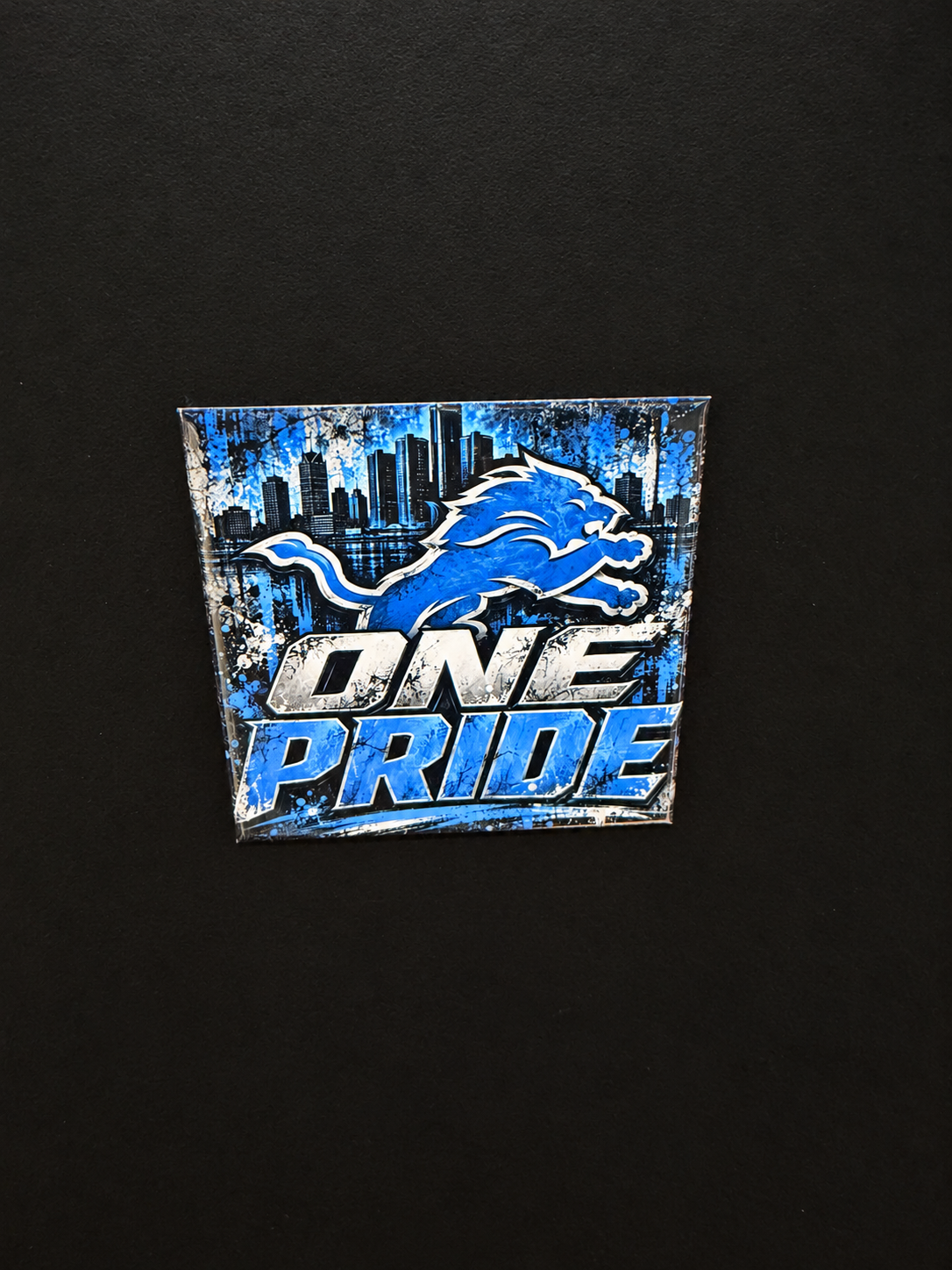 Lions Magnets