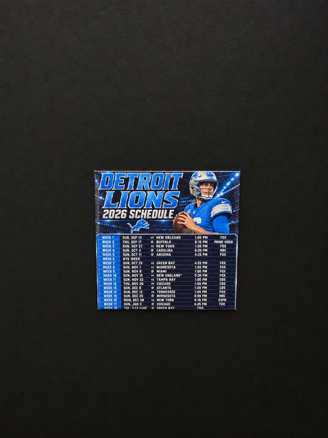 Lions Magnets
